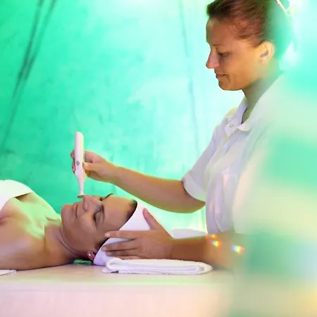 酒店 Danubia Park 3*